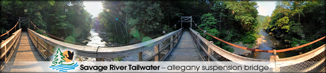 Savage River Reservoir tailwater suspension bridge